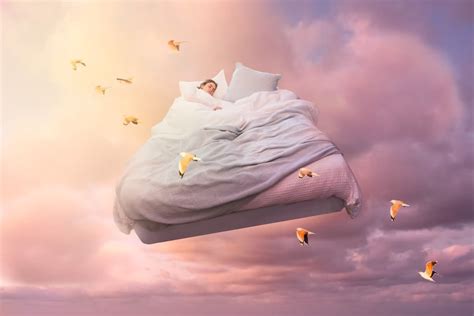Sleeping dream. Things To Know About Sleeping dream. 